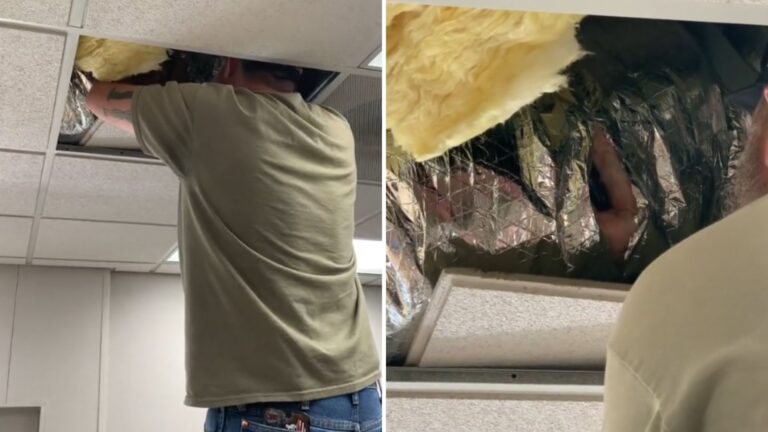 California School Staff Trace Odd Noise To Ceiling Vents And Can’t Believe What They Find