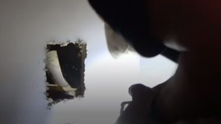 Mysterious Cries Coming From Inside His Wall Lead LA Man To Astonishing Rescue