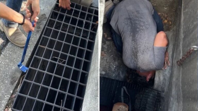 Passerby Follows Faint Cries From Storm Drain In Orlando And Realizes Someone Is Trapped