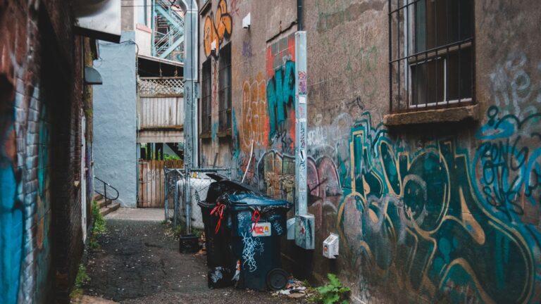 California Man Goes To Toss Trash And Discovers Something That Breaks His Heart