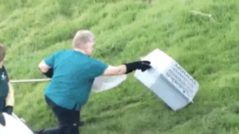 California Man Sees Something In Wire Fence And Realizes It’s A Wild Baby Trapped And Terrified