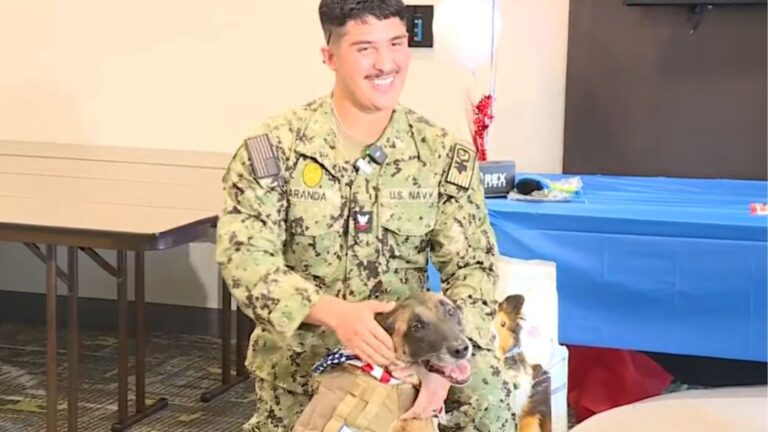California Military Dog Reunites With Former Handler And It Feels Like Coming Home