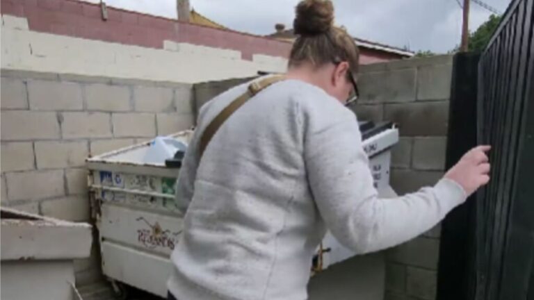 Passerby Follows Soft Cries In Parking Lot In California And Finds Something Heartbreaking
