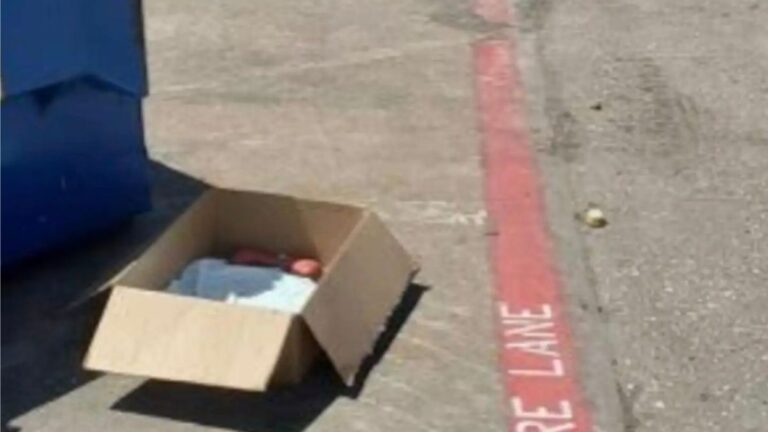 Texas Woman Spots A Box Near A Dumpster And What’s Inside Breaks Her Heart