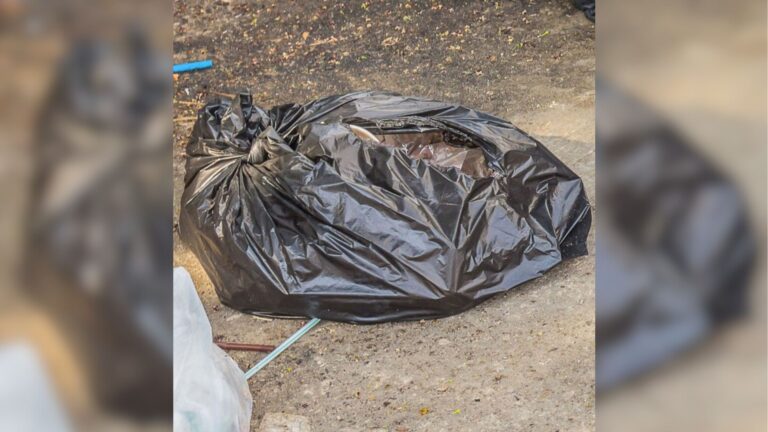 Pennsylvania Driver Watches A Trash Bag Get Thrown From A Car, Then It Starts Moving