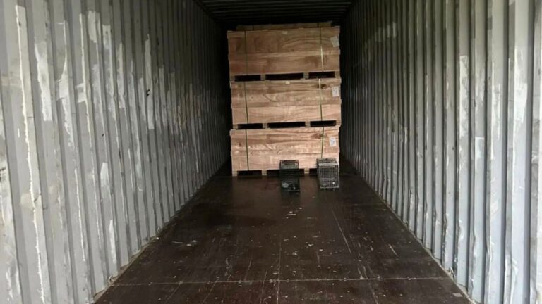 Shipping Container Arrives In Minnesota After 7000 Miles, Then Something In It Starts To Move