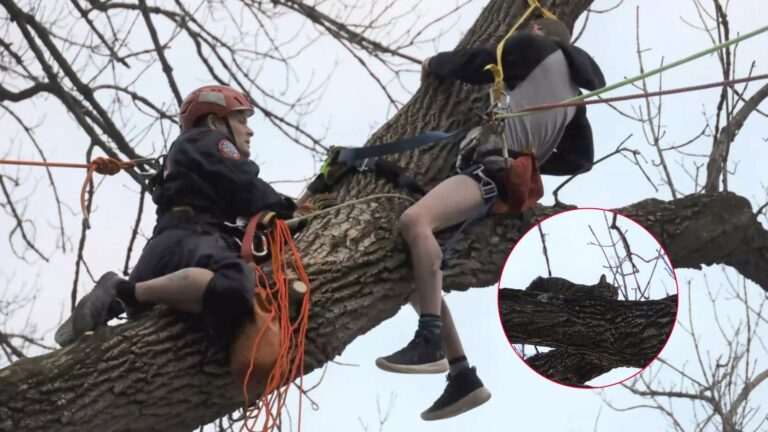 Indiana Teen’s Cat Rescue Goes Hilariously Wrong As He Ends Up Needing A Rescue