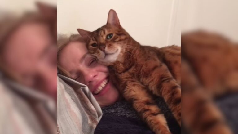 Michigan Man Introduces His Girlfriend To His Cat And The Reaction Is Priceless