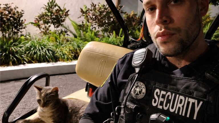 Florida Security Guard Gave A Lonely Stray Cat A Home, Then Came The Surprise