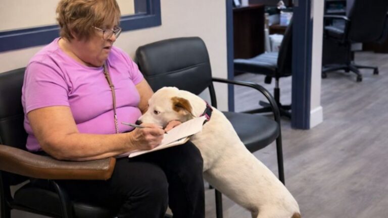 Woman Finalizes Adoption Papers At Florida Shelter, Now Watch The Pup’s Response