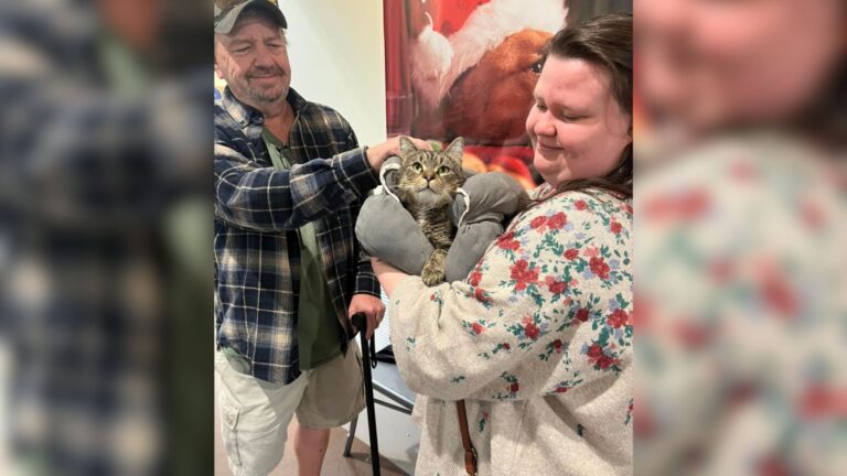 This Three-Legged Cat And His Amputee Dad From Virginia Prove That Some Things Are Meant To Be