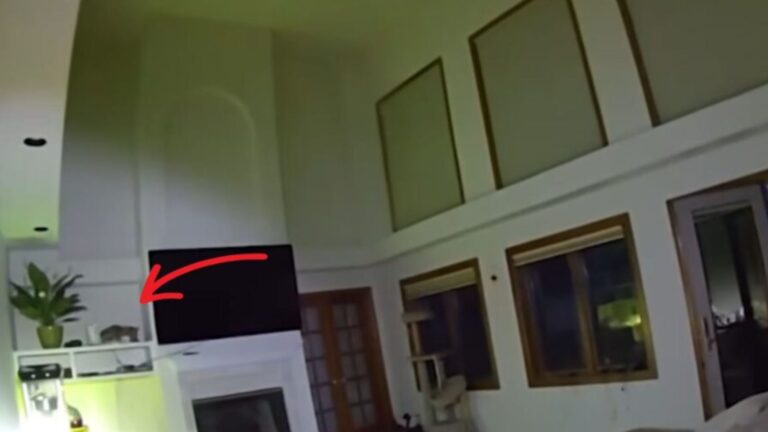 Colorado Woman Faces A Scary Wake-Up At 4 A.M. Then Sees A Wild Visitor In Her Room