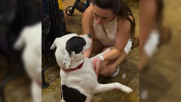 Woman Finds Shivering Dog In Cold Warehouse In Houston, But She Wasn’t Alone