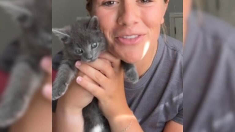 California Woman Sees Gray Blur Darting Across Busy Street And Ends Up Saving A Life In Need