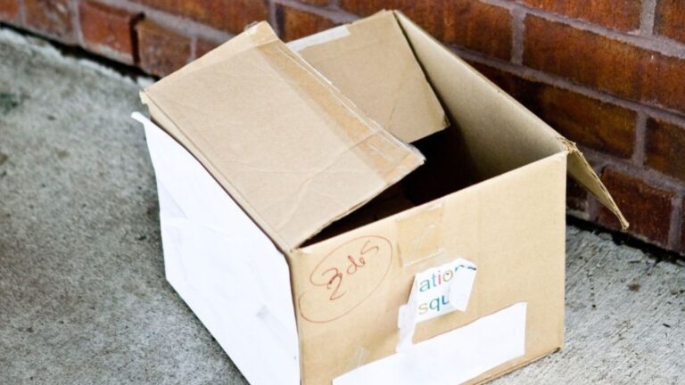 Woman Spots A Small Box Outside Texas Shelter And Her Heart Drops When She Opens It