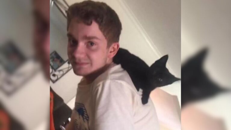 Cleveland Cat Can’t Stop Staring At Her Owner’s Photo And The Reason Will Melt Your Heart