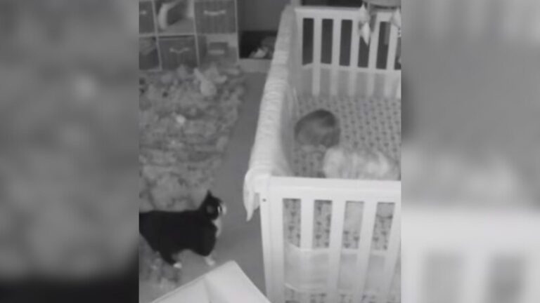 Ohio Mom Checks Baby Monitor And Catches A Nighttime Moment That Melts Her Heart