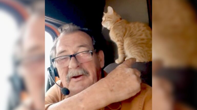 Alabama Trucker Has Inspired Millions With His Stories And This One Is Unforgettable