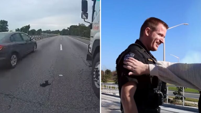 Meeting This Cop Was The Moment Everything Changed For A Tiny Furbaby Stuck On Florida Highway