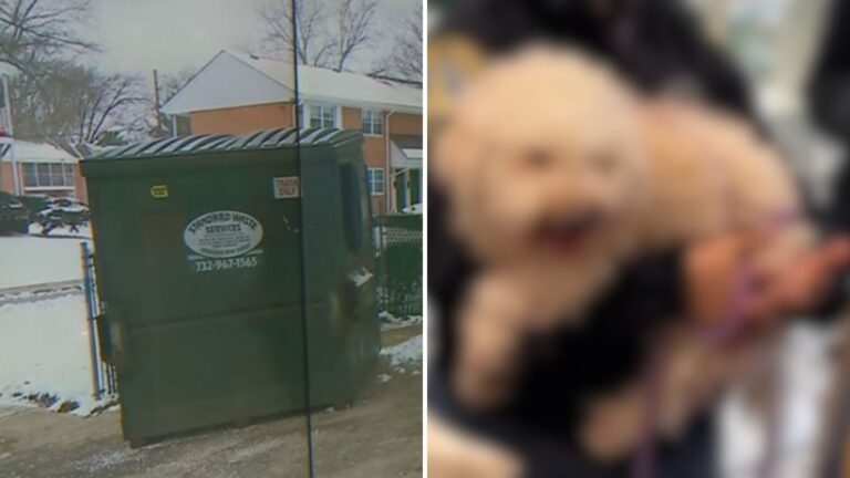 Maintenance Worker In New Jersey Stumbles Upon A Chilling Scene In A Dumpster
