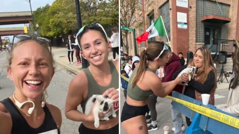 Kitten Rescued By Runner At Chicago Marathon Gets Adopted Right In The Middle Of The Course