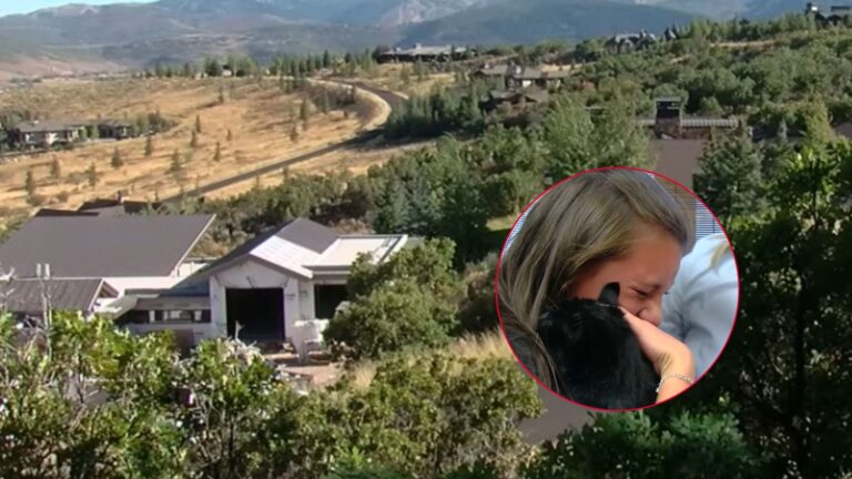 Cat Goes Missing In Utah Mountains, Then Returns Home After An Unbelievable 32 Mile Walk