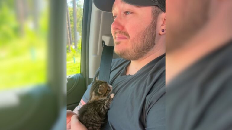 Florida Couple Stops At Starbucks To Grab Some Coffee And Walks Away With A Tiny Furry Delight