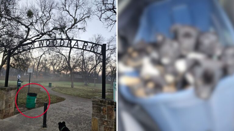 Texas Man Checks Trash Can After Hearing ‘Sound’ And Ends Up Facing A Heart-Stopping Moment