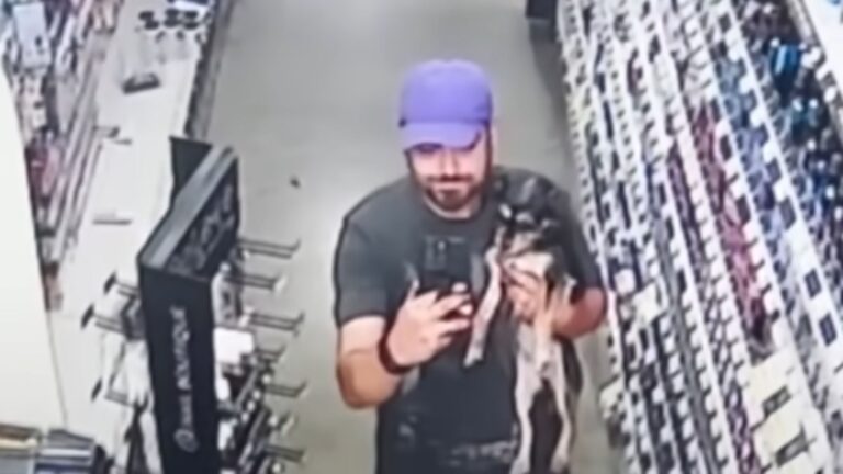 Florida Man Spots Tiny Fluffball At Dollar General And Knows He Just Found Something Special