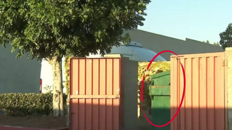 California Man Follows Faint Cries From Dumpster And Finds 3 Tiny Lives Pressed Close Together