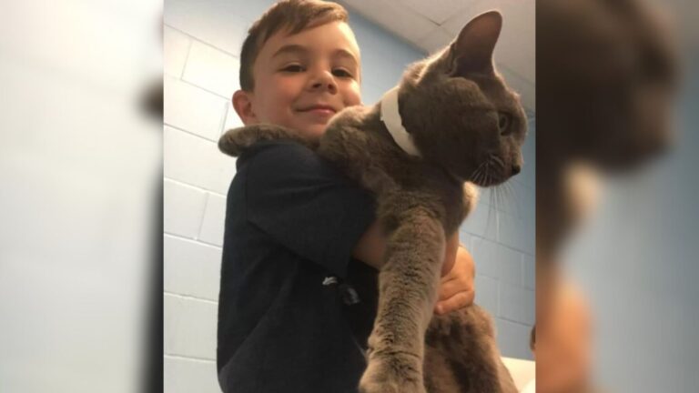 Oregon Boy Adopts A Sad Shelter Cat But Their Beautiful Bond Ends In Heartache