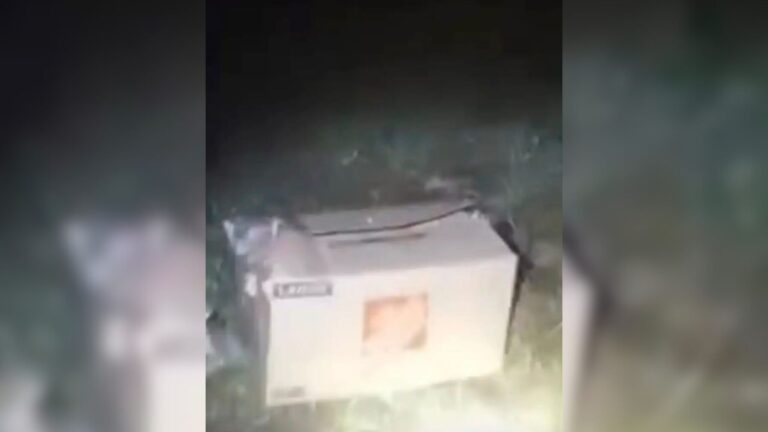 Indiana Woman Checks A Box In A Dark Alley And Finds Something She’ll Never Forget