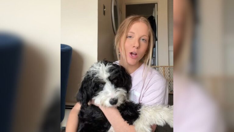 Michigan Woman Enrolls Her Dog In Daycare To Socialize, But Camera Footage Leaves Her Stunned