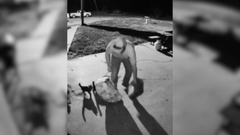 Kansas Man Checks A Cardboard Box Left In His Yard And Gets The Shock Of His Life