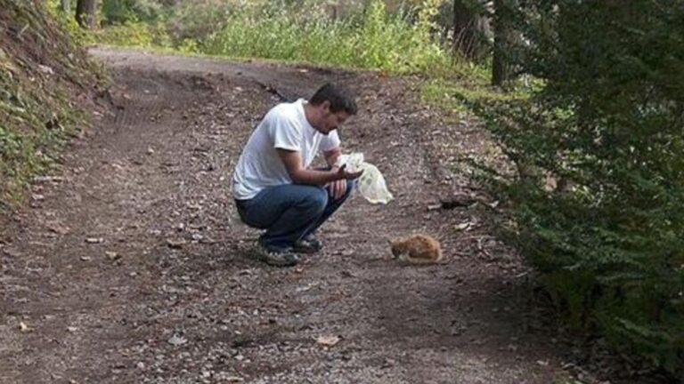 Man Finds Tiny Kitten In Virginia Woods And Ensures He Never Feels Abandoned Or Afraid Again
