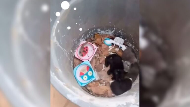 California Man Goes To Throw Out Trash And Can’t Believe What Someone Threw Away