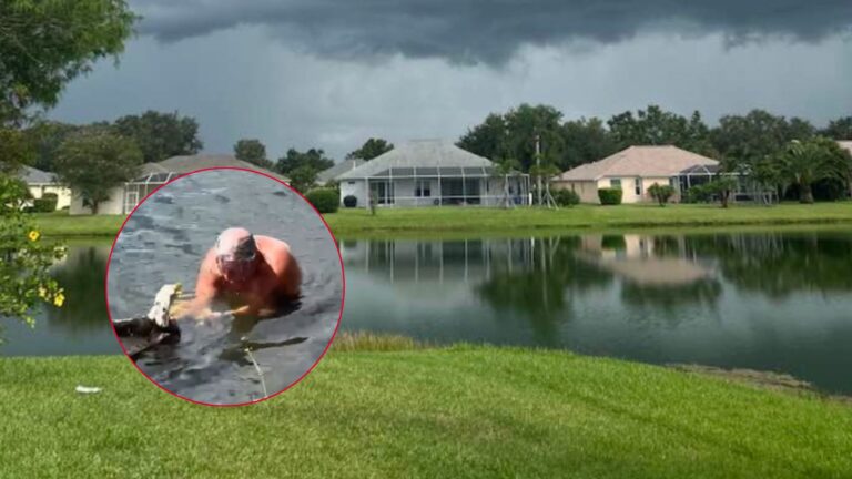 Florida Man Jumps Into A Lake Full Of Alligators To Rescue A Drowning Little Creature