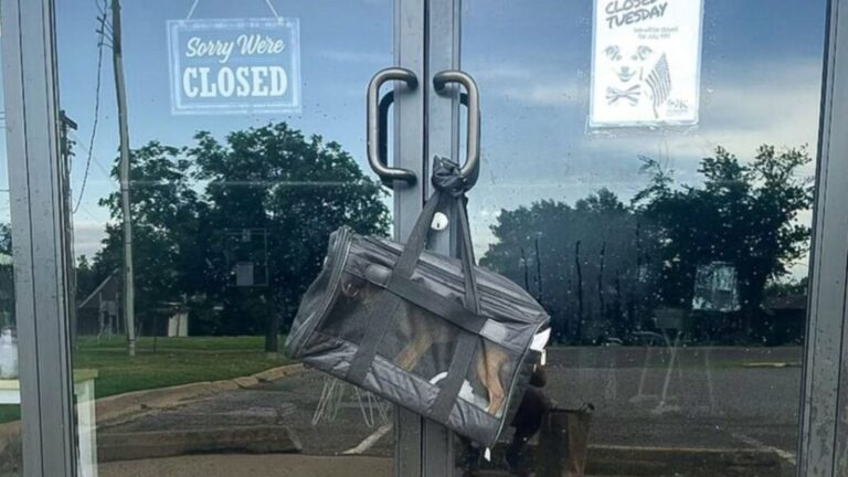 Oklahoma Man Spots A Bag Hanging From Shelter Door And Faces A Heartbreaking Abandonment