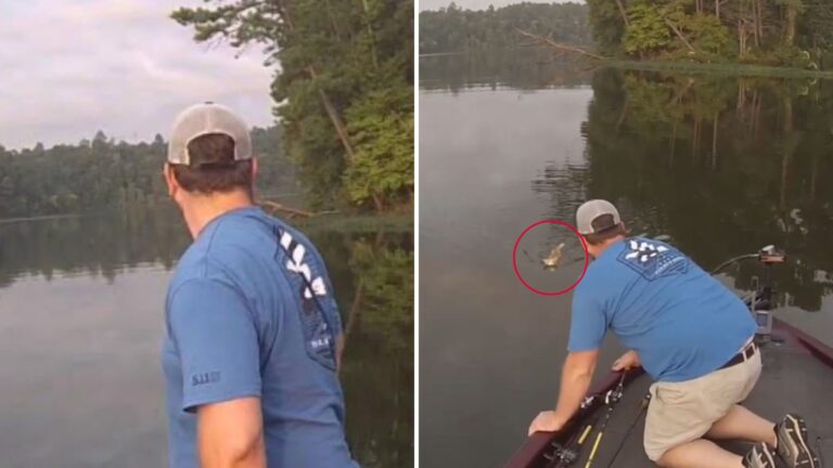 Friends Go Fishing In Alabama And End Up Catching Something They Never Expected