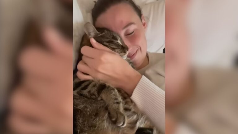 Cat Overlooked For Years At Oregon Shelter Finally Gets Adopted And Gives Back In Abundance