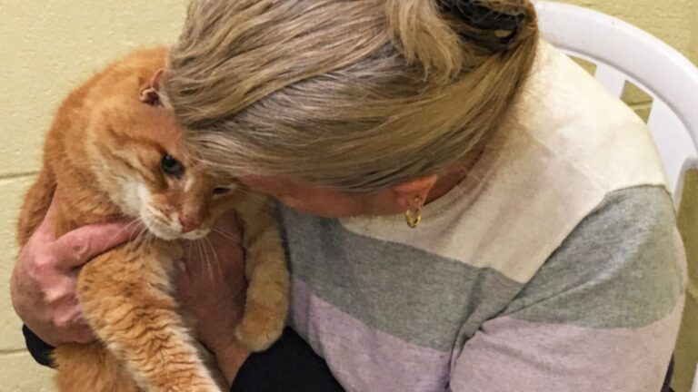 Maryland Woman Adopts A Shelter Cat And Immediately Regrets Her Decision
