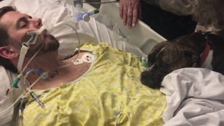 California Dog Visits Owner In Hospital For One Final Goodbye That Broke Everyone’s Heart