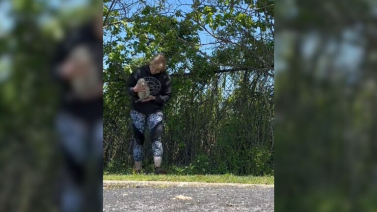 Passerby Sees Gray Lump Limping Through NY Park And Discovers Tiny Animal Left Alone To Suffer