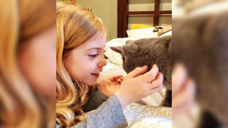 Seattle Girl Gets Real‑Life Version Of Her Stuffed Toys And Her Reaction Brings Tears Of Joy
