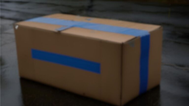 Florida Shelter Volunteer Spots A Box In The Driveway And Faces A Heartbreaking Abandonment