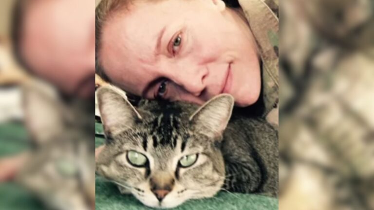 Maryland Soldier Met A Tiny Stray Kitten Unaware How Profoundly It Would Change Her Life