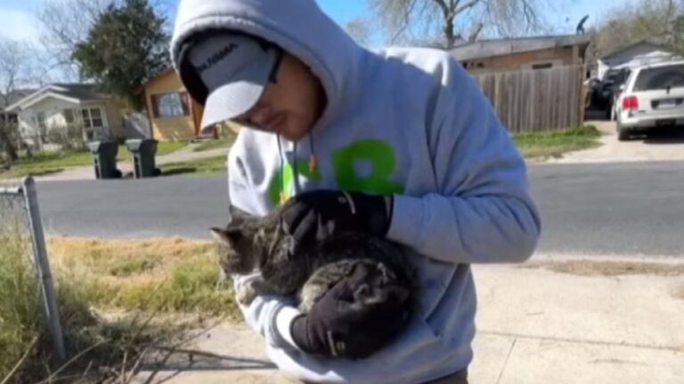 Texas Lawnmower Saves A Cat In Distress, His Mission Leads To Saving Countless Other Lives