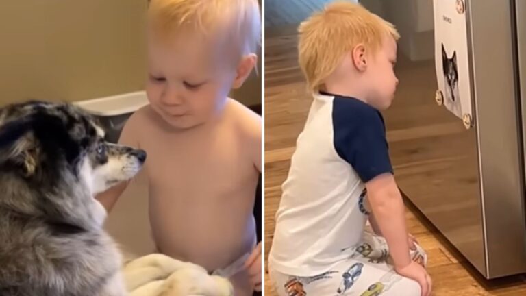 Illinois Mom Records Her Little Boy’s Silent Grief After Losing His Beloved Pet