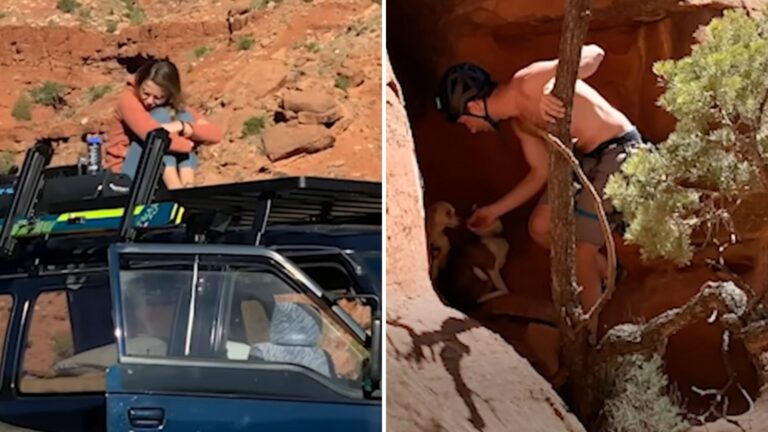 Couple Follows Yipping Sounds In Colorado Canyons And Finds Two Tiny Survivors High On A Cliff