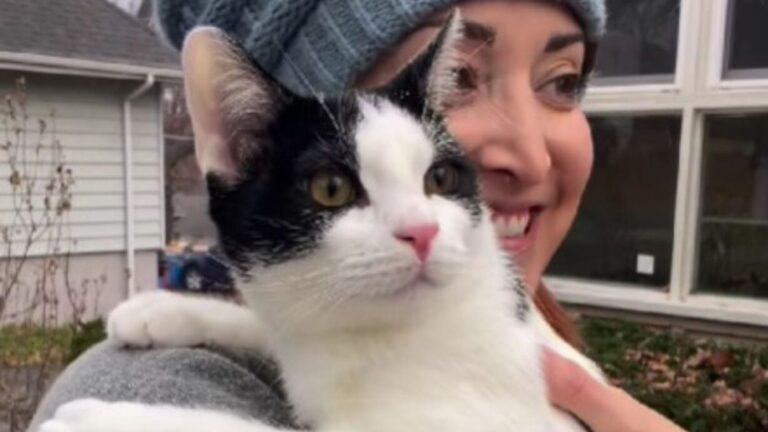 Kansas Kitten Ends Up In Perfect Hands And Proves His Disability Can’t Slow Him Down